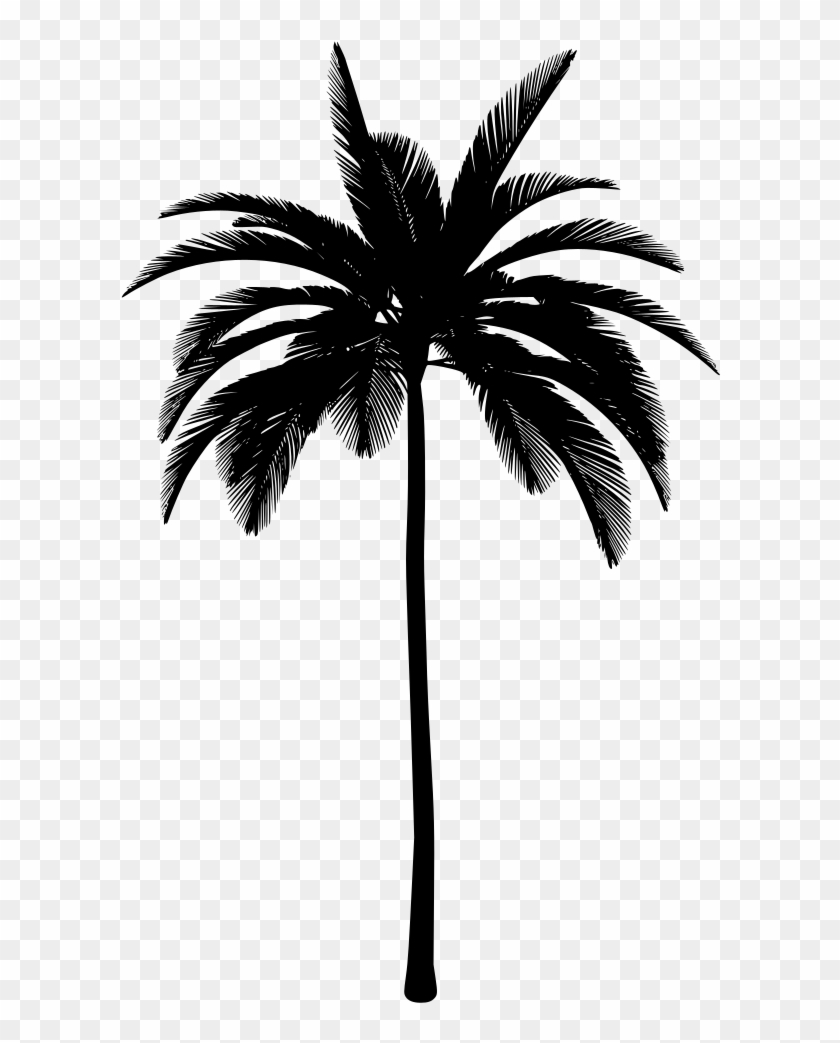 Download Png - Palm Tree Aesthetic Png, Transparent Png - 681x1024 ...