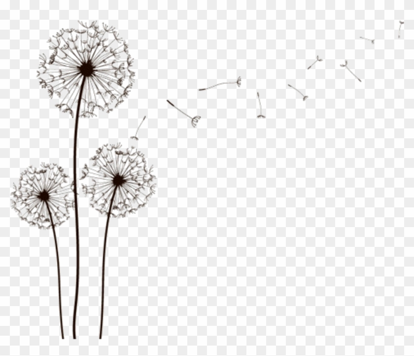  dientedeleon  negro  lineas  flor  flores