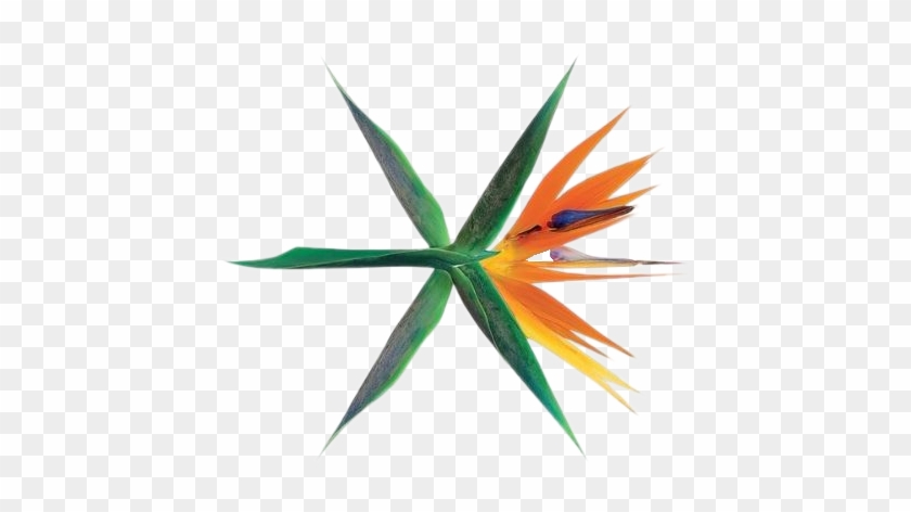 Download 610 Koleksi Gambar Exo Kokobop Terbaik 