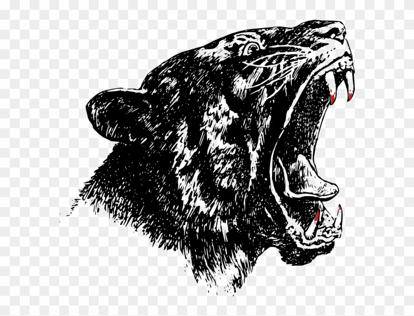 Black Tiger Png Beastmode Cover Art Transparent Png 600x561 Pngfind Black Tiger Png Beastmode Cover Art Transparent Png 600x561 Pngfind