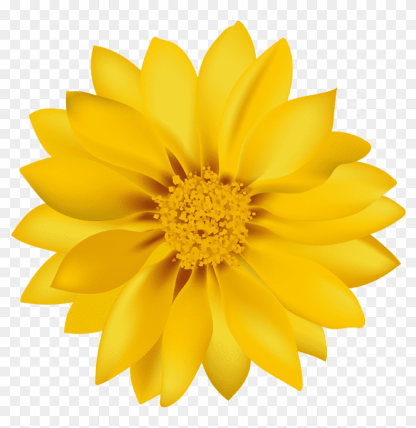 yellow floral background png