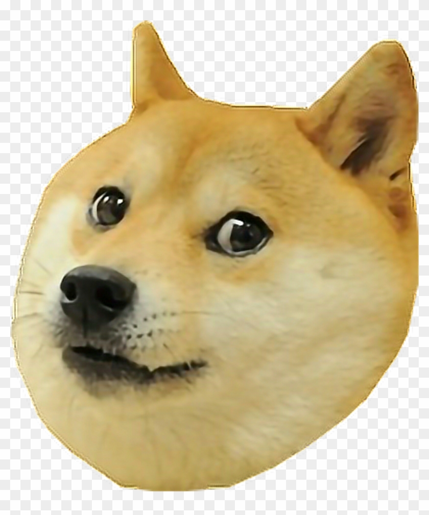 Doge Doggo Freestickers Memes - Doggo Meme Png, Transparent Png ...