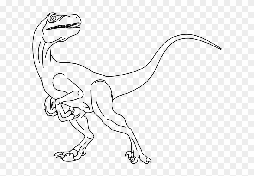 Dinosaurs Drawing Raptor Blue Jurassic World Para Colorear Hd Png Download 628x503 1534 Pngfind