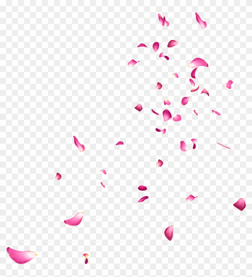 pics Transparent Background White Flower Petals Png falling rose petals png picture