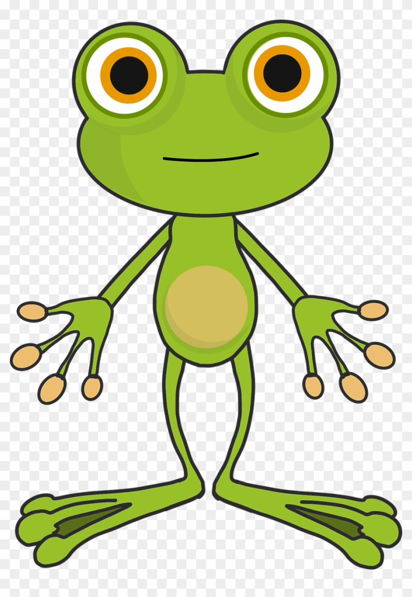 Frog Cartoon - Frog Cartoon Png, Transparent Png - 913x1280(#1818425) -  PngFind
