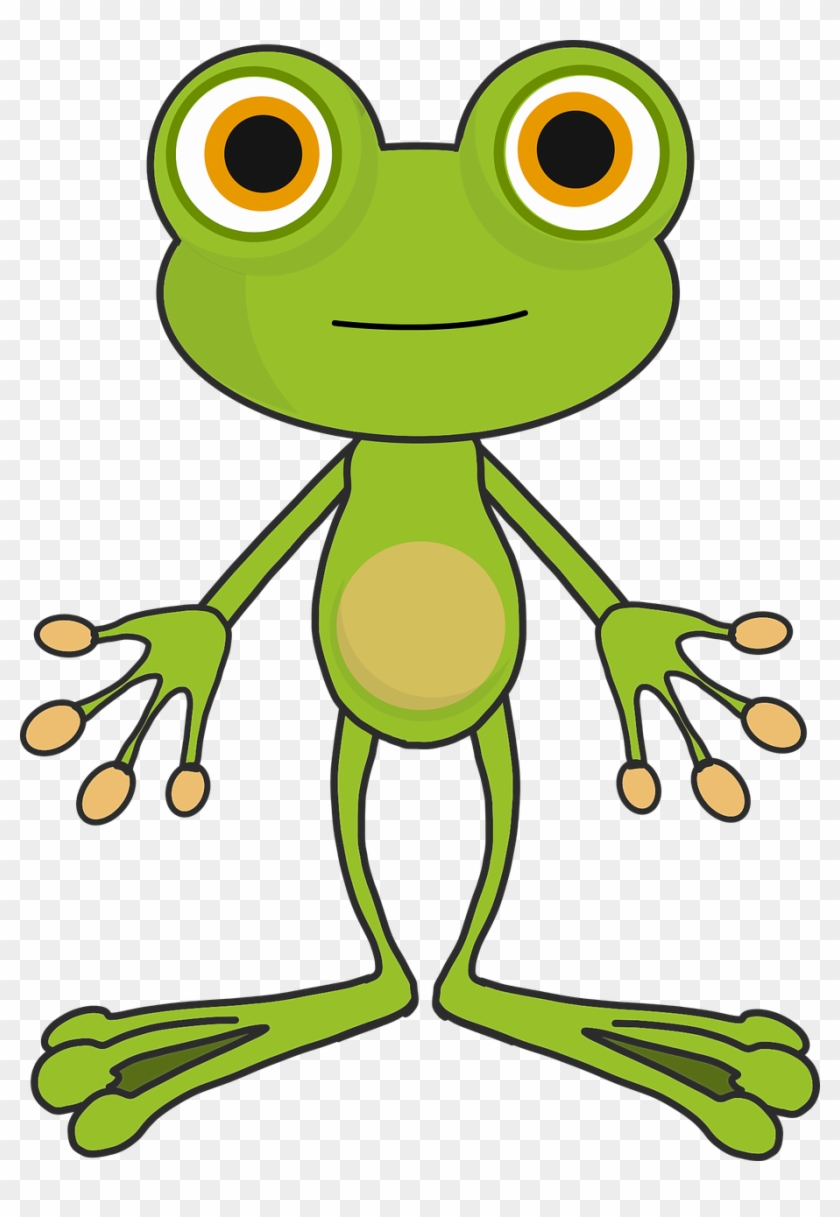 Frog Cartoon - Frog Cartoon Png, Transparent Png - 913x1280(#1818425) - PngFind Frog Cartoon - Frog Cartoon Png, Transparent Png - 913x1280(#1818425) - PngFind