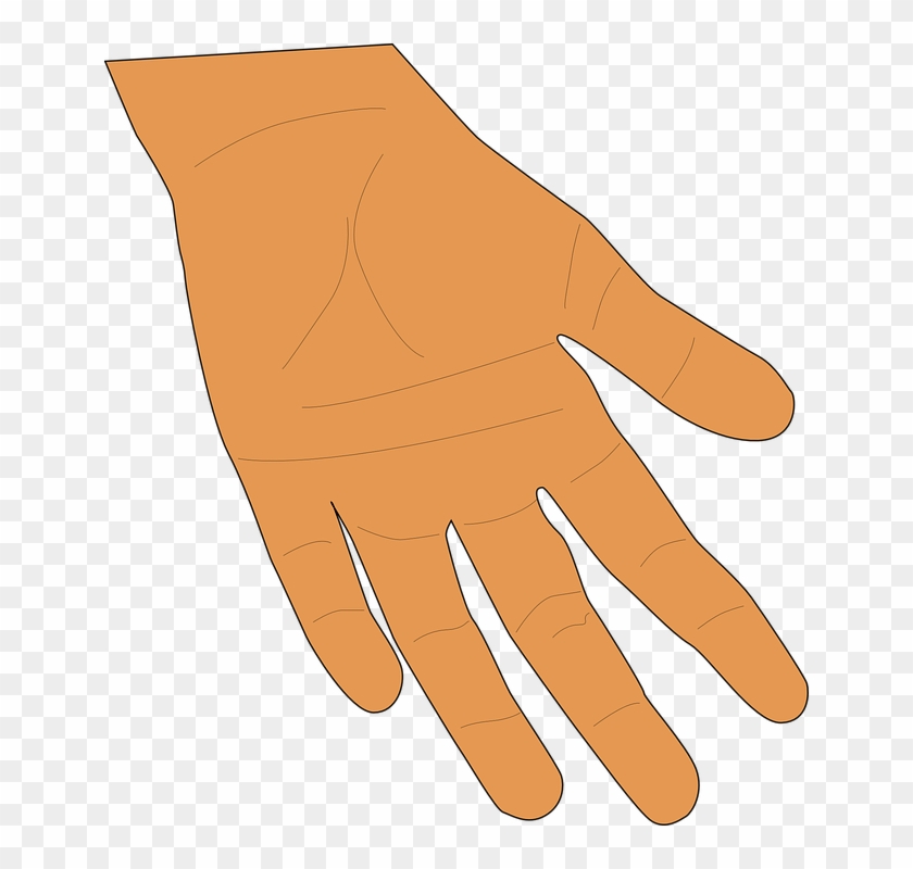 Hand Palm Fingers Human Skin Giving Thumb Open Brown Hand Clipart Hd Png Download 648x720 1836156 Pngfind