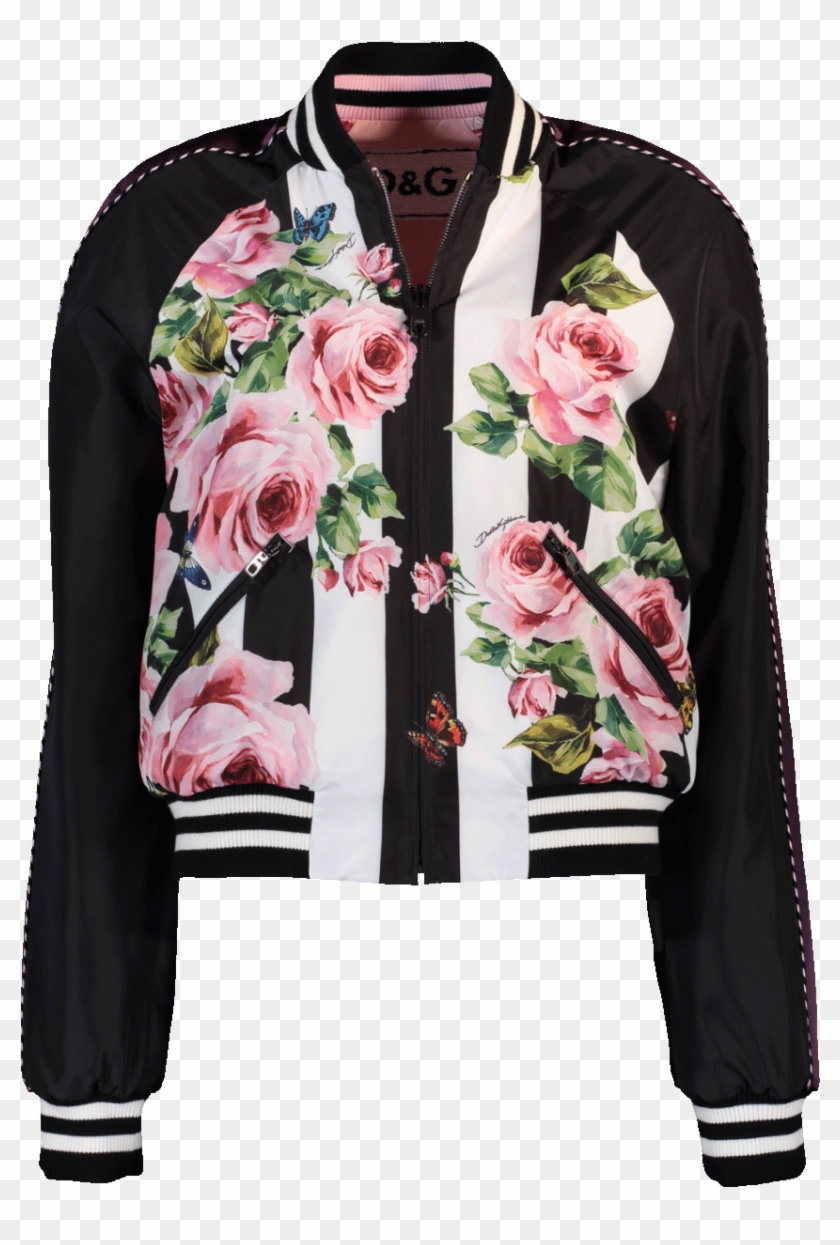 dolce gabbana jacket womens