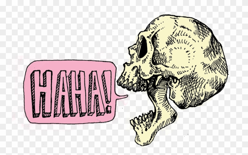 Image Result For Cute Skull Tumblr - Png Biology, Transparent Png - 1024x722(#1841203) - PngFind Image Result For Cute Skull Tumblr - Png Biology, Transparent Png - 1024x722(#1841203) - PngFind