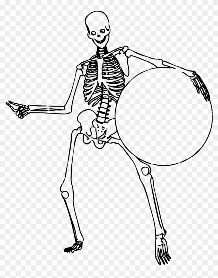 drawing of human skeleton