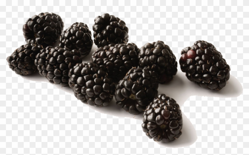 Black Raspberries Transparent Background, HD Png Download - 1600x1018