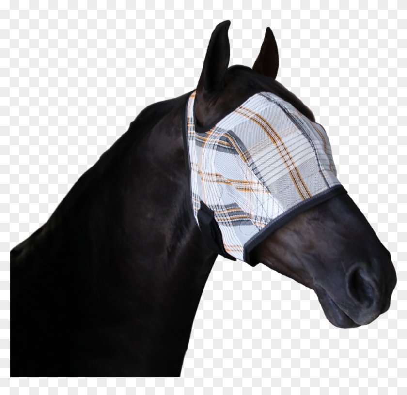 Horse Eye Injury Mask, HD Png Download - 1024x947(#1867304) - PngFind