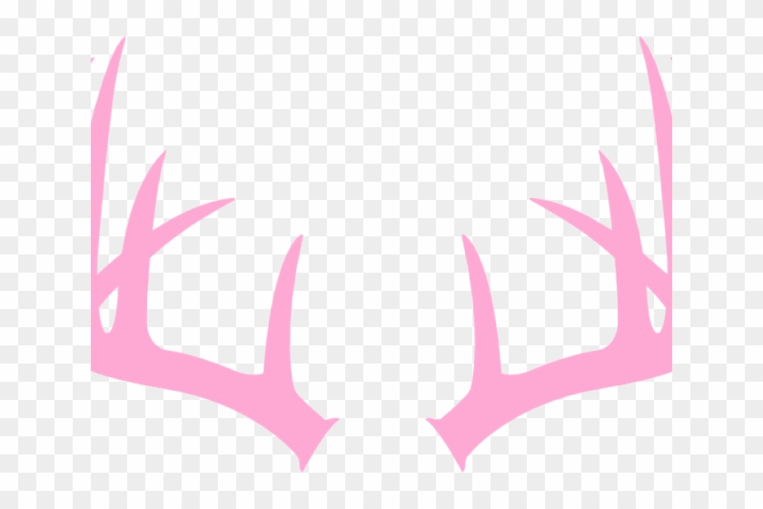 Drawn Antler Deer Antler Deer Antler Svg Free Hd Png Download 640x480 1871479 Pngfind