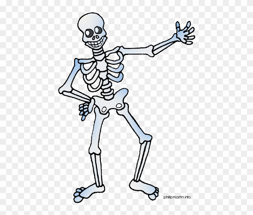 Cartoon Body - Skeleton Clipart, HD Png Download - 476x648(#1874569
