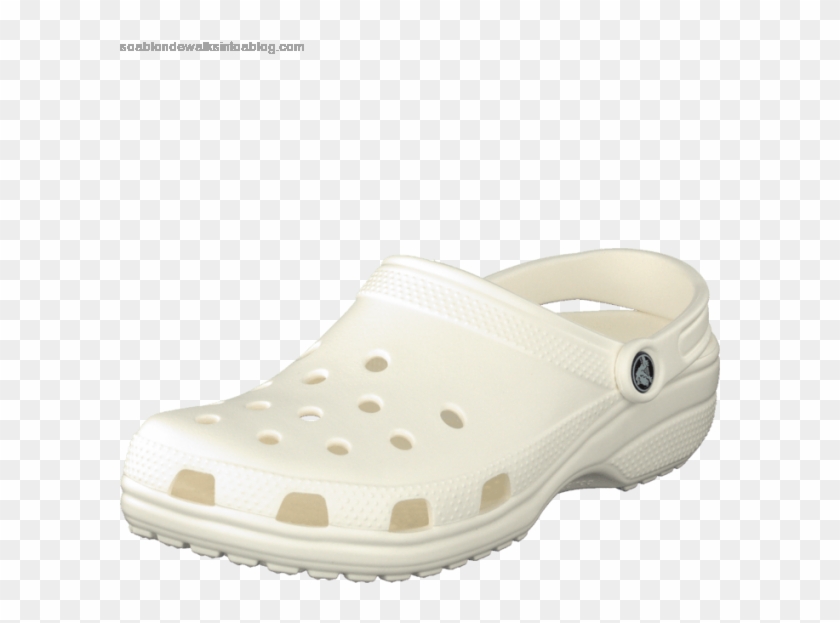 crocs png