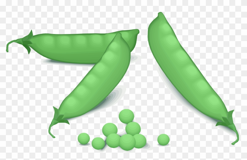 Peas Png Kacang  Panjang Vector  Png Transparent Png 