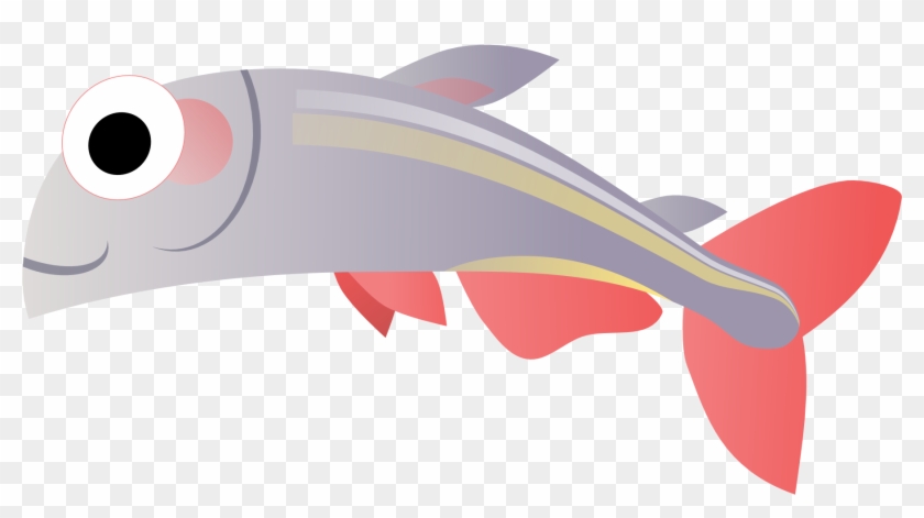 Download Fish Net Clipart Svg à ¸Ã ¸¥Ã ¸² Png Transparent Png 1969x1969 1918605 Pngfind