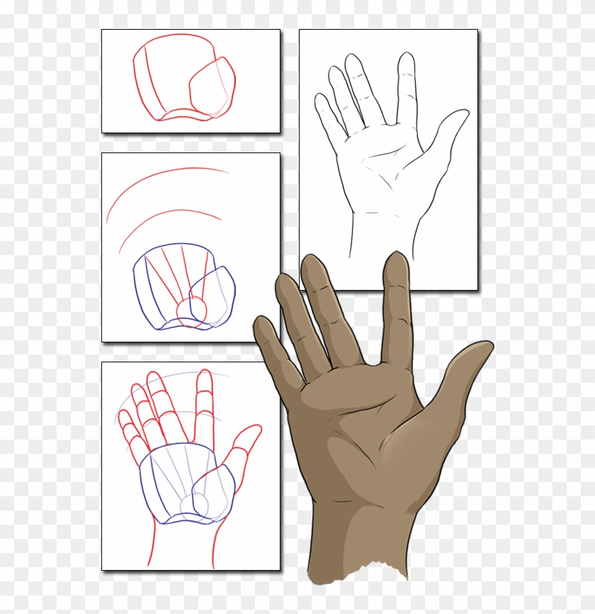 Hand Palm Tutorial Pinterest Drawings - Drawing, HD Png Download -  580x800(#1942526) - PngFind
