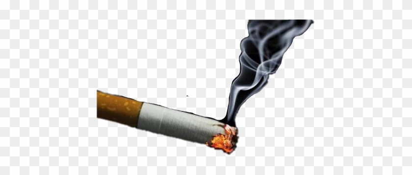cigarette fire png Fire Smoking, HD Png Download - 445x278(#1943526)