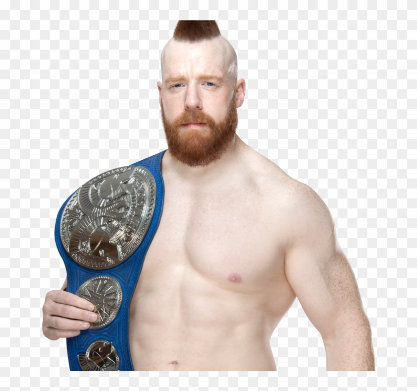 Rodd Presents - Sheamus Smackdown Tag Team Champion, HD Png Download - 674x708(#1957907) - PngFind