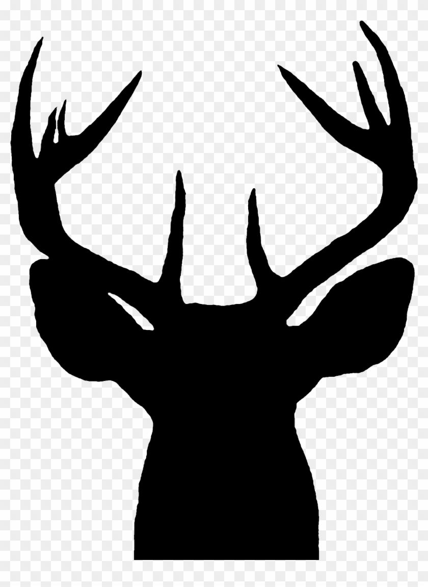 Deerhead Deer Head Silhouette Hd Png Download 1271x1682 1970923 Pngfind