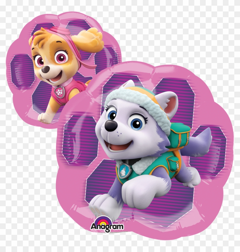 mini everest paw patrol