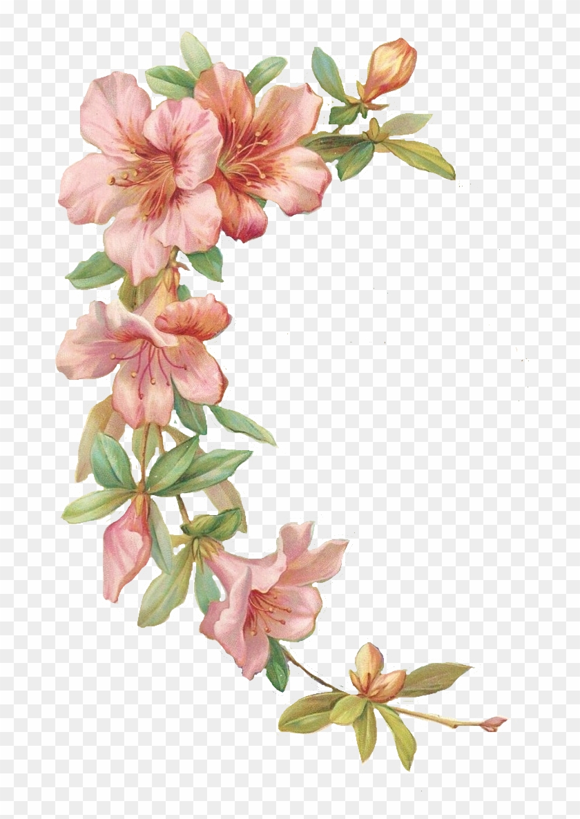 Vector Free Library Azalea Drawing Flower Tattoo - Marco De Flores Png, Transparent Png - 736x1145(#1984007) - PngFind Vector Free Library Azalea Drawing Flower Tattoo - Marco De Flores Png, Transparent Png - 736x1145(#1984007) - PngFind