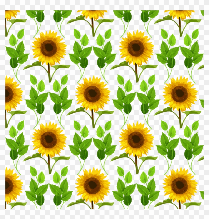mq #sunflower #flower #pattern #background - Sunflower, HD Png Download -  1024x1024(#1998132) - PngFind