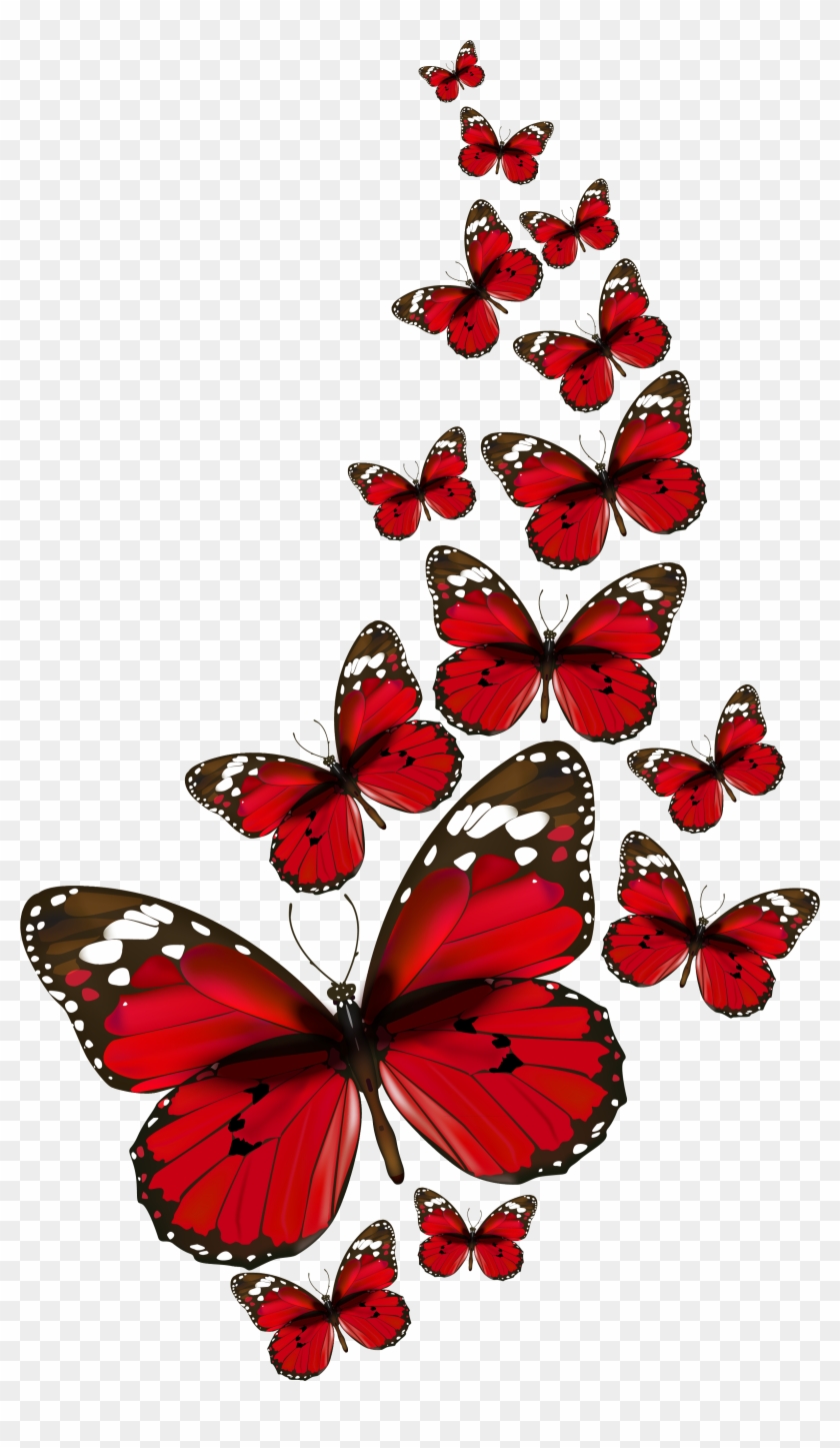 Red Butterfly HD Wallpapers  Wallpaper Cave