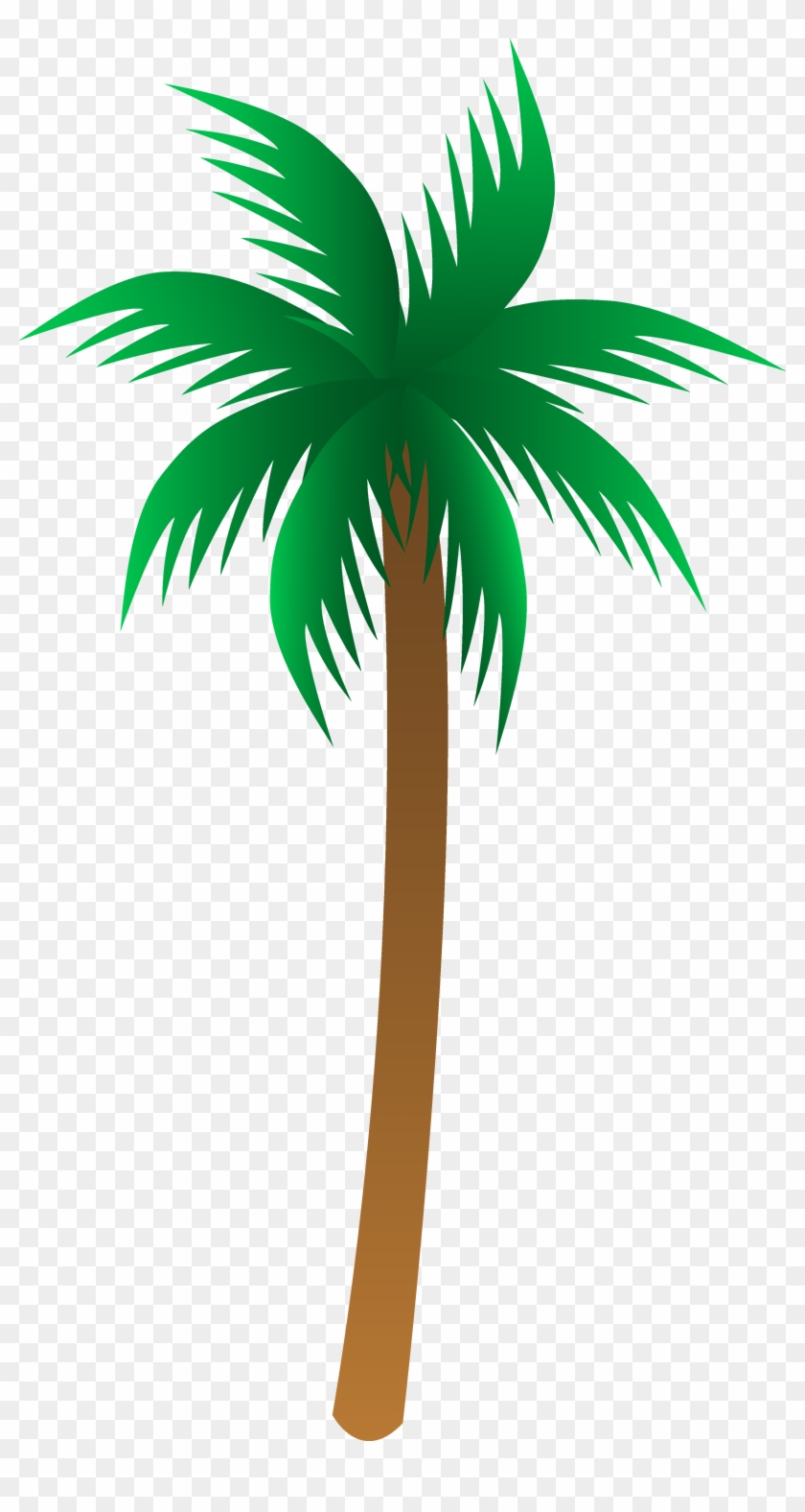 palm tree vector png