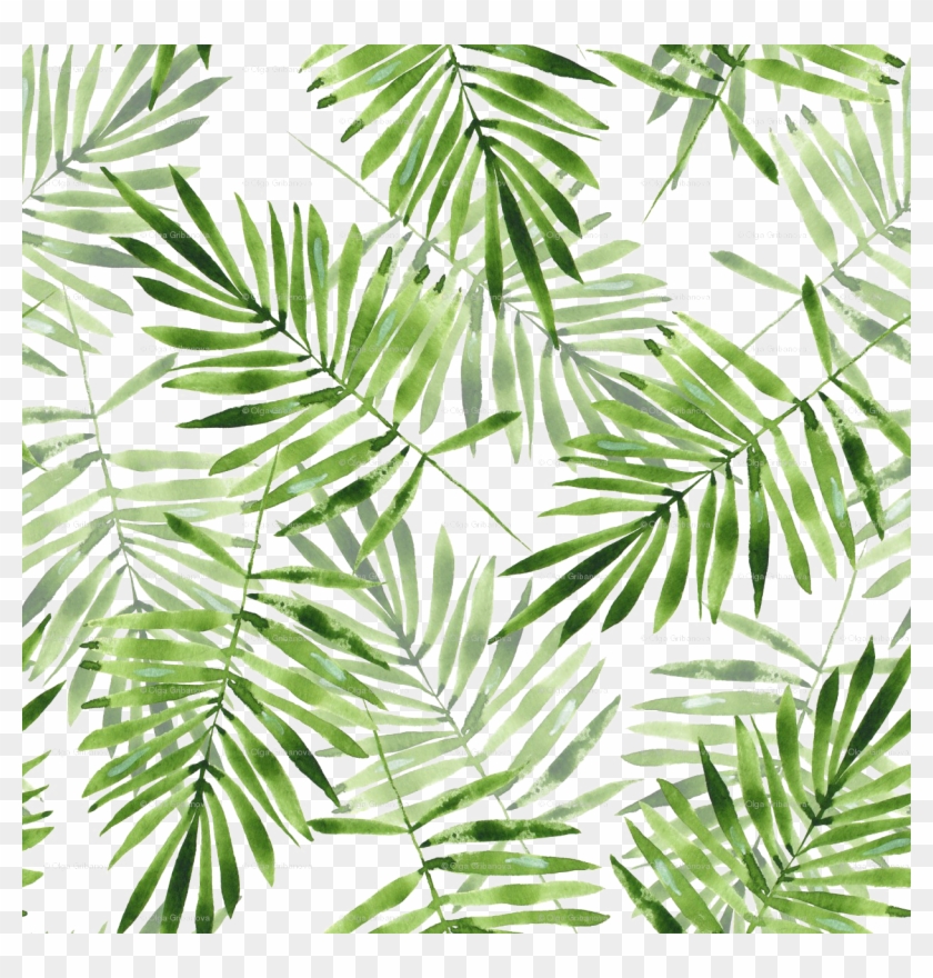 Green Palm Leaves Png Transparent Palm Leaf Pattern Png Png Download 1250x1250 Pngfind