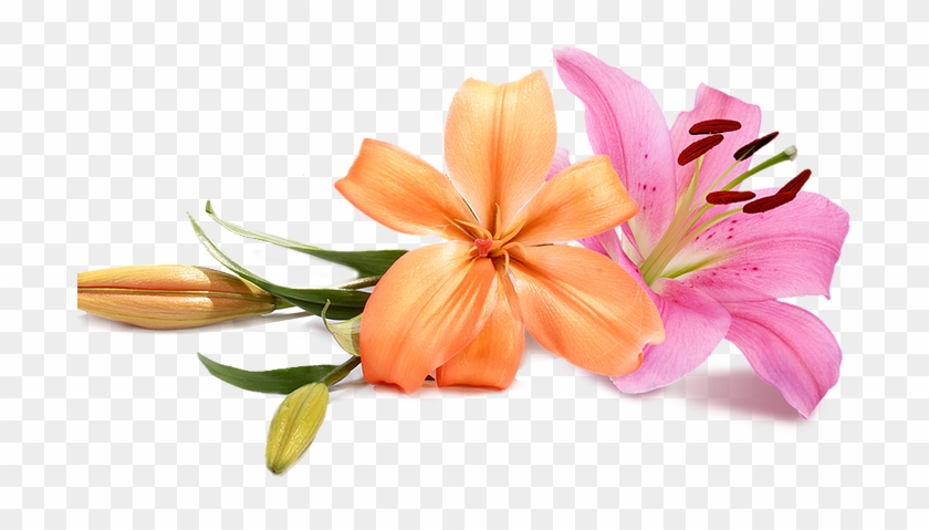 Wedding Flowers Png Peach Wedding Flower Png Transparent Png