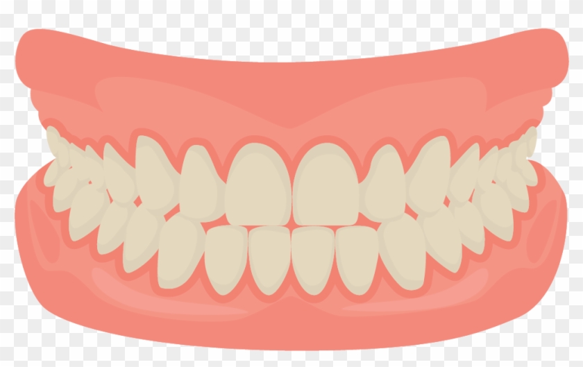 Human Tooth Smile Mouth Dentistry - Teeth Cartoon, HD Png Download -  1018x724(#2001410) - PngFind
