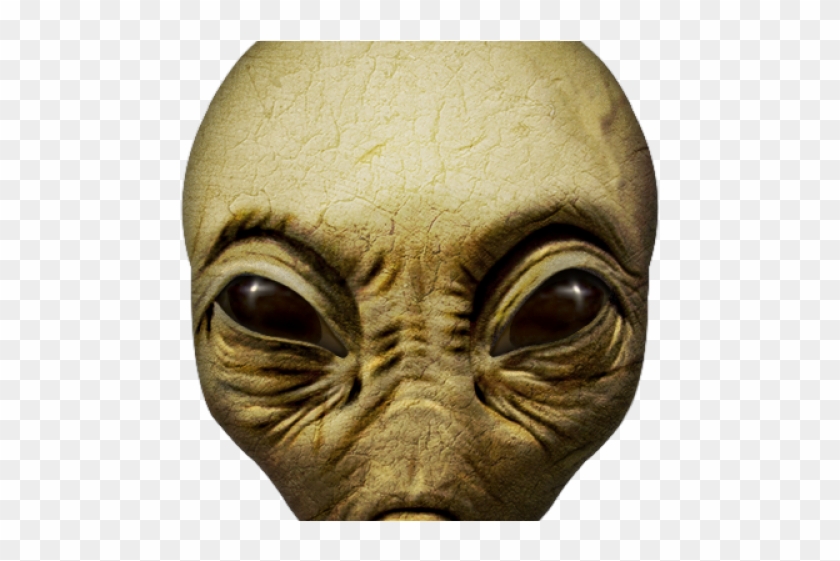 Alien Face Transparent Background, HD Png Download - 640x480(#2039010 ...