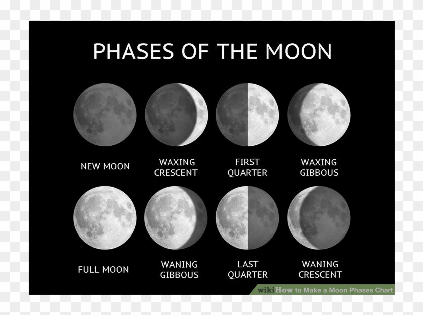 Moon Phase Chart