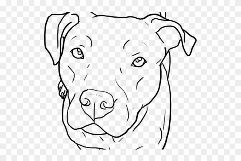 Drawn Bull Pit Bulls Head - Perros Pitbull Para Dibujar, HD Png Download -  640x480(#2076028) - PngFind