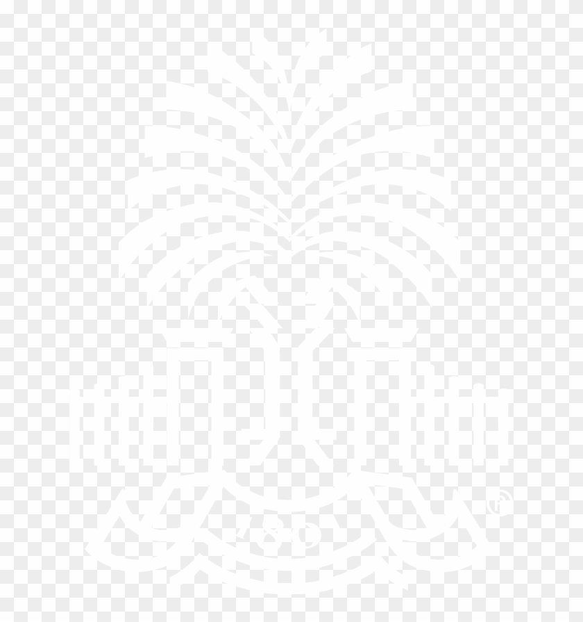 University Of South Carolina University Of South Carolina Law, HD Png