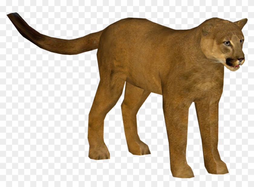 puma schleich puma schleich