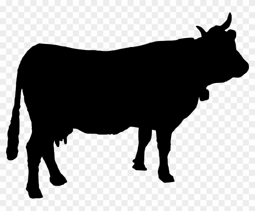 Download Cow Silhouette Free Vector Cow Vectors Hd Png Download 800x616 210214 Pngfind