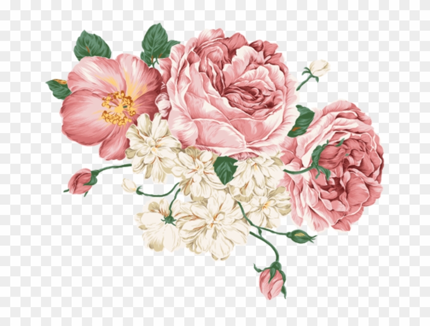 Picture - Peonies Vector Free, HD Png Download - 702x568(#216580) - PngFind