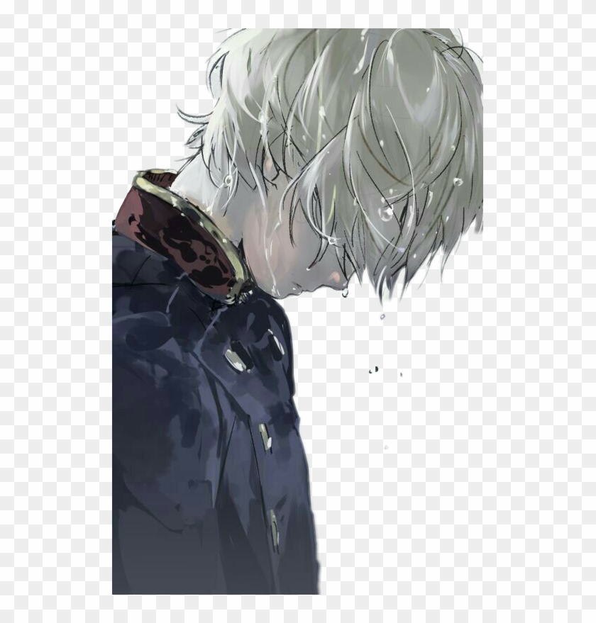 Anime Boy White Hair , Png Download, Transparent Png - 523x799(#217021) -  PngFind