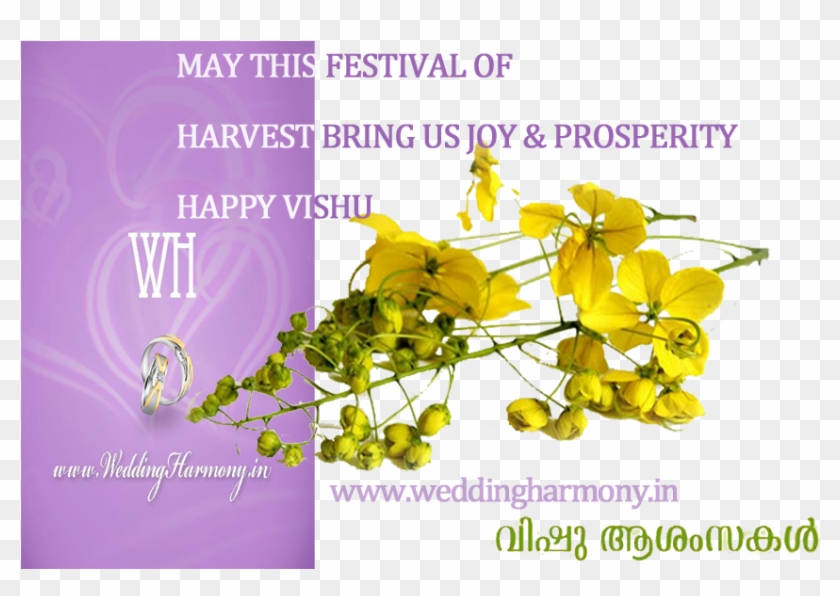 Vishu Wishes - - Happy Vishu In Advance, HD Png Download -  860x561(#2116735) - PngFind