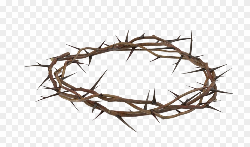 Download View Free Crown Of Thorns Svg Pictures Free SVG files ...