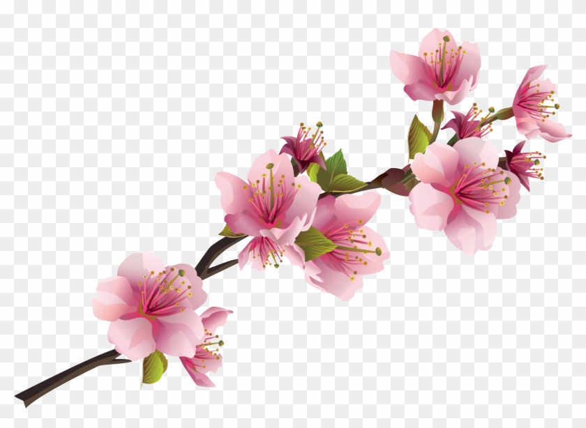 Sakura Pink Flowers Png Free Images Pink Flowers Png Transparent Png 2677x10 Pngfind