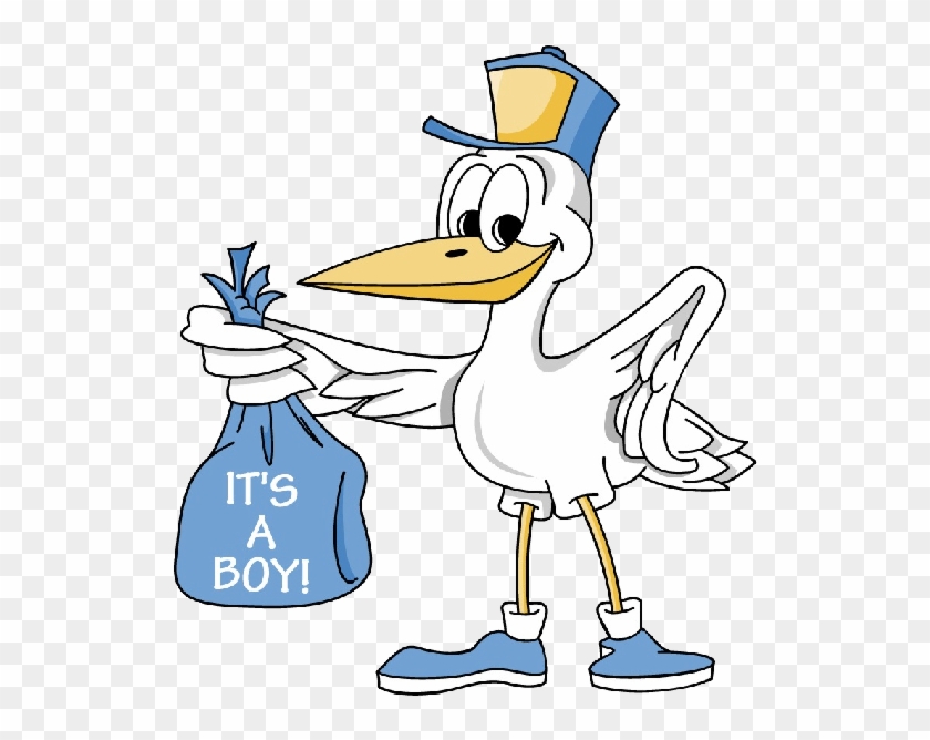 Cartoon Stork Image Delivering Baby Boy Desenhos - Stork Carrying Baby Boy, HD Png Download - 600x600(#2140560) - PngFind Cartoon Stork Image Delivering Baby Boy Desenhos - Stork Carrying Baby Boy, HD Png Download - 600x600(#2140560) - PngFind