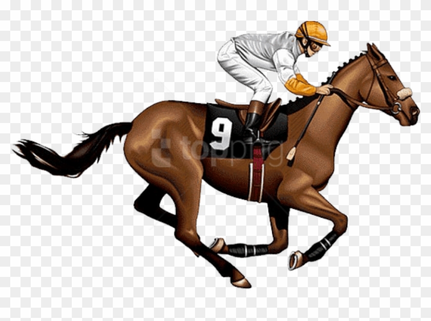 Free Png Download Race Horse Side View Png Images Background - Race Horse  Png, Transparent Png - 850x555(#2162003) - PngFind