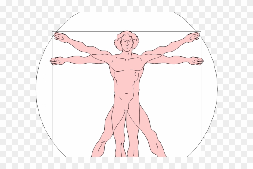 Cartoon Renaissance Man Renaissance Clipart Vitruvian Man - Cartoon, HD Png Download - 640x480 ...