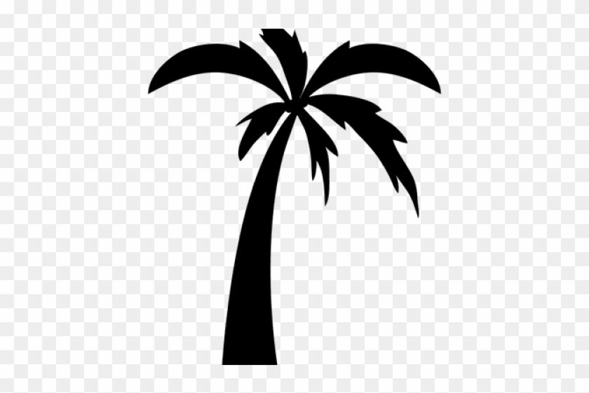 Drawn Palm Tree Cartoon - Palm Trees Drawing In Black, HD Png Download -  640x480(#2179468) - PngFind