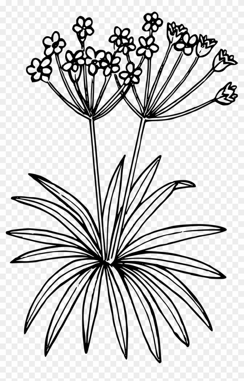 THING MAKER Hanging Flower Pot Holder Railing Potted Plant StandGamla Stand for Home Balcony Set of 8 Amazonin Garden Outdoors #77 THING MAKER Hanging Flower Pot Holder Railing Potted Plant StandGamla Stand for Home Balcony Set of 8 Amazonin Garden Outdoors