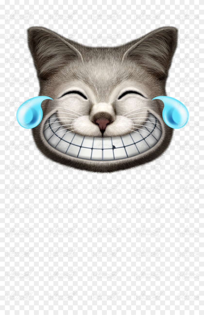Laughing Cat Png - Laughter, Transparent Png - 900x1350(#221806) - PngFind